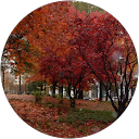 Ehr A. profile picture